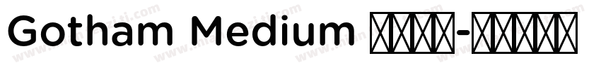 Gotham Medium 亮体西方字体转换